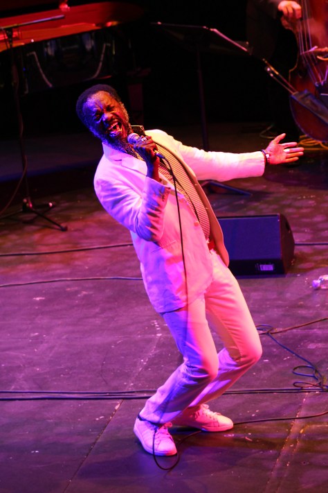 David McAlmont.JPG